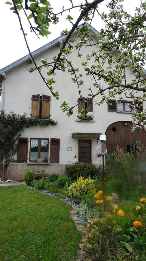 Le Jardin Des Secrets Bed and Breakfast La Voivre  Εξωτερικό φωτογραφία