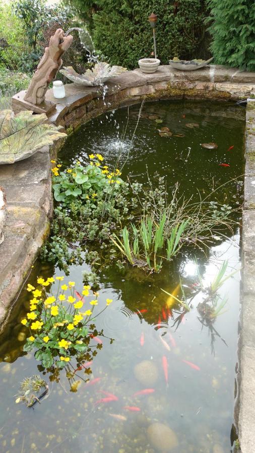 Le Jardin Des Secrets Bed and Breakfast La Voivre  Εξωτερικό φωτογραφία