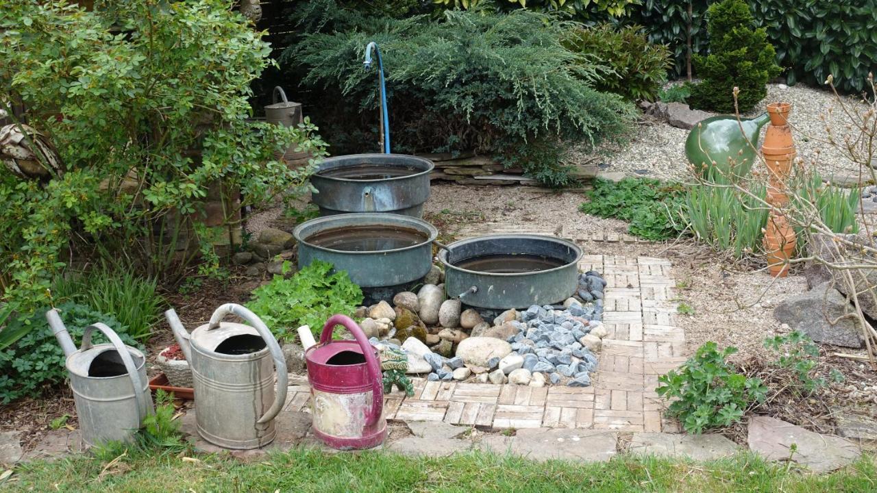 Le Jardin Des Secrets Bed and Breakfast La Voivre  Εξωτερικό φωτογραφία